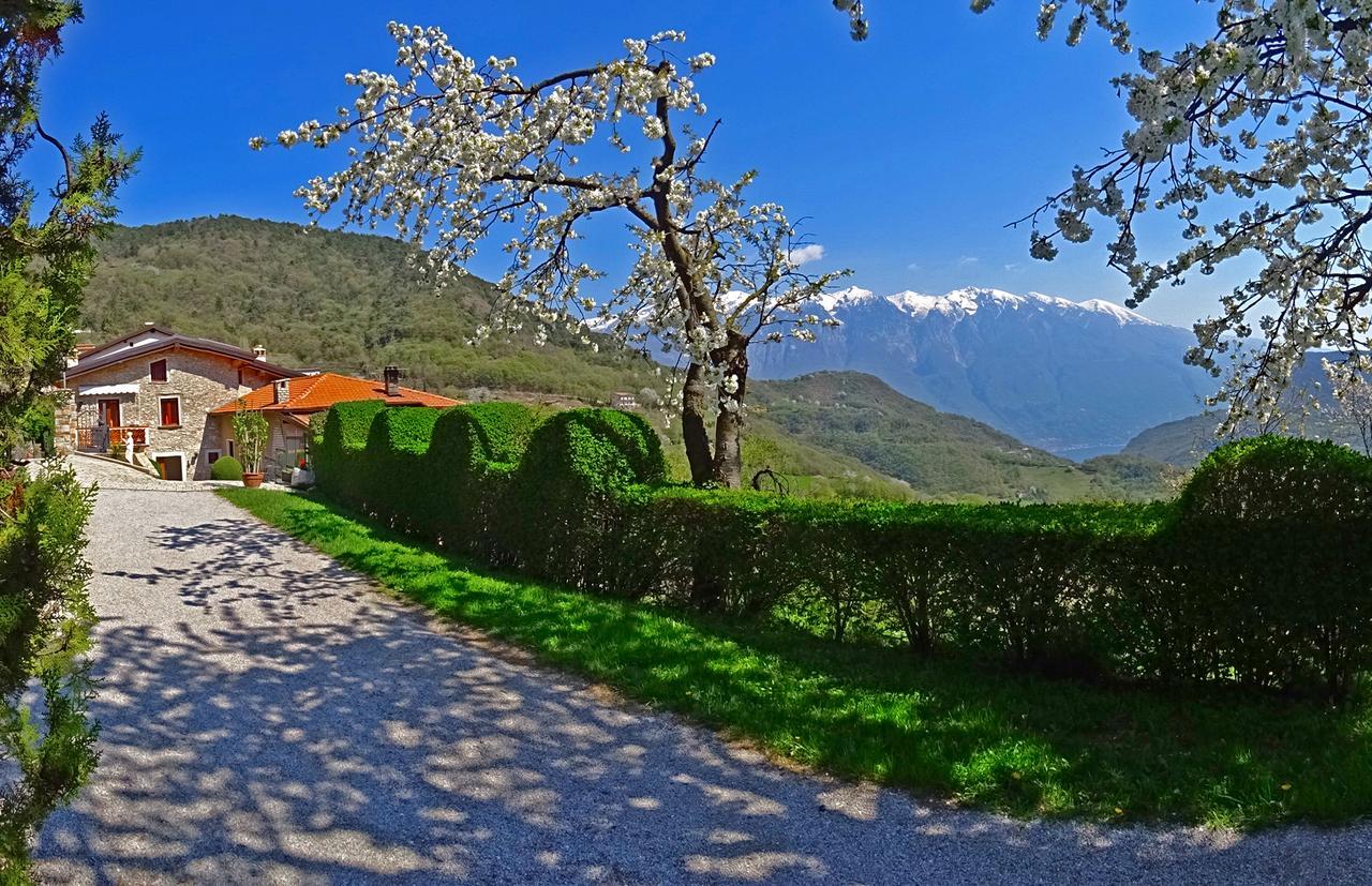 Casa Belvedere Garden By Gardadomusmea Tremosine Eksteriør billede